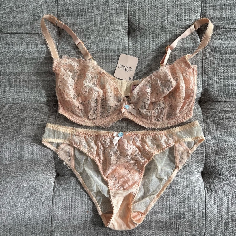 NWT Agent Provocateur Darla Bra 36E and Panties 4 (L) Brief Set of 2 Champagne - Picture 4 of 9